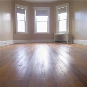 Floor-and-windows_1332_19473791_0_0_7011429_300