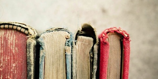 1340236073389866 (1)