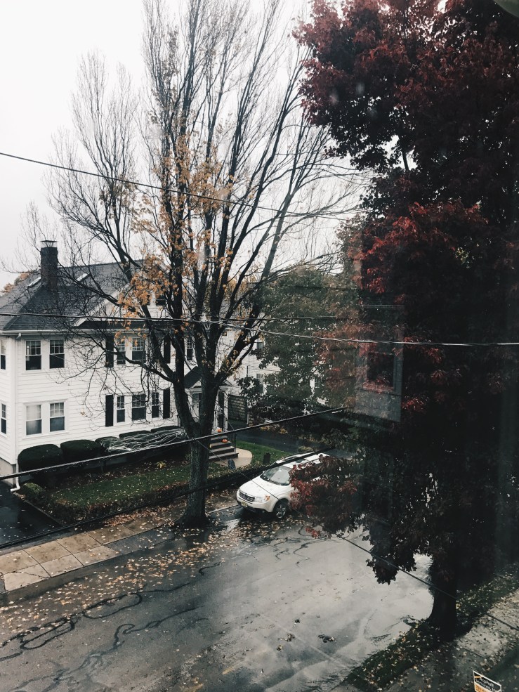 Processed with VSCO with hb2 preset