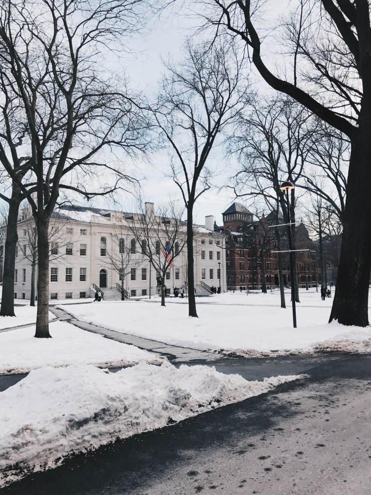 Processed with VSCO with hb2 preset